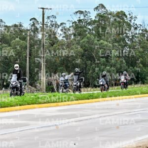 abejas ruteras - CHA0081.jpg