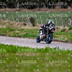 abejas ruteras - CHA0168.jpg