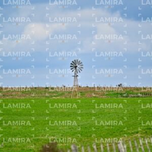 abejas ruteras - CHA0423.jpg
