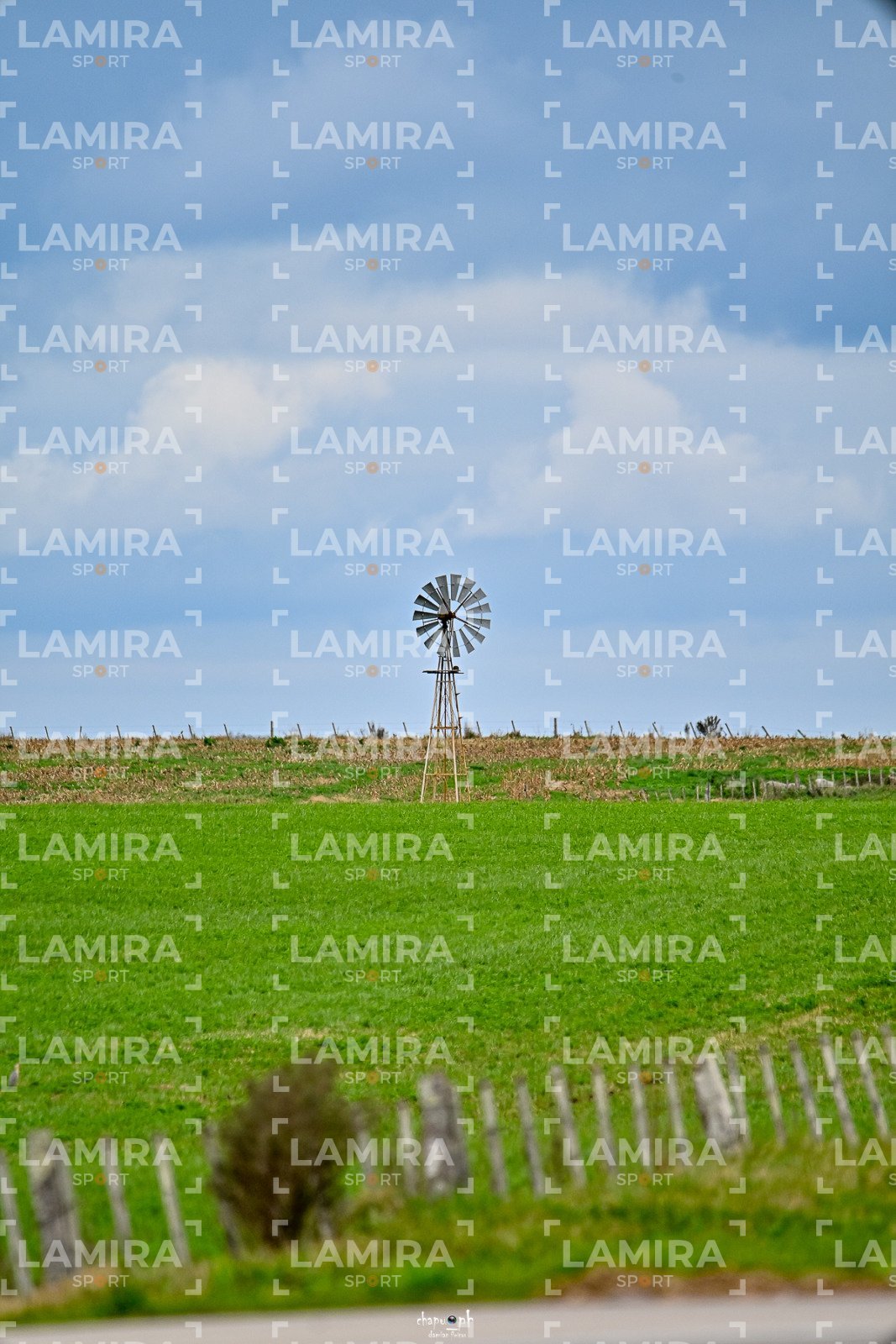 abejas ruteras - CHA0423.jpg