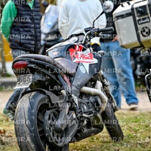 abejas ruteras - CHA0608.jpg
