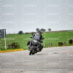 abejas ruteras - CHA9262.jpg