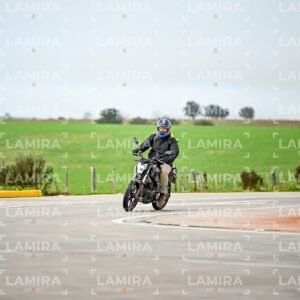 abejas ruteras - CHA9300.jpg