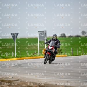 abejas ruteras - CHA9436.jpg