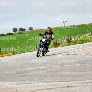 abejas ruteras - CHA9459.jpg