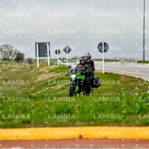 abejas ruteras - CHA9489.jpg