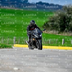 abejas ruteras - CHA9515.jpg