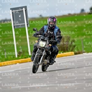 abejas ruteras - CHA9554.jpg