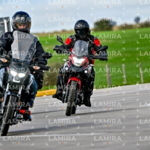 abejas ruteras - CHA9632.jpg