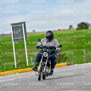 abejas ruteras - CHA9637.jpg