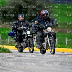 abejas ruteras - CHA9903.jpg