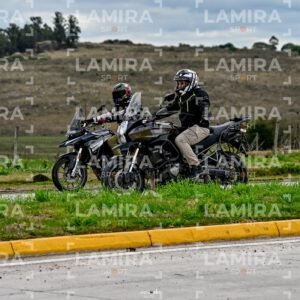 abejas ruteras - CHA9927.jpg