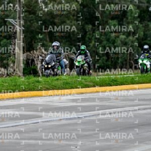 abejas ruteras - CHA9959.jpg