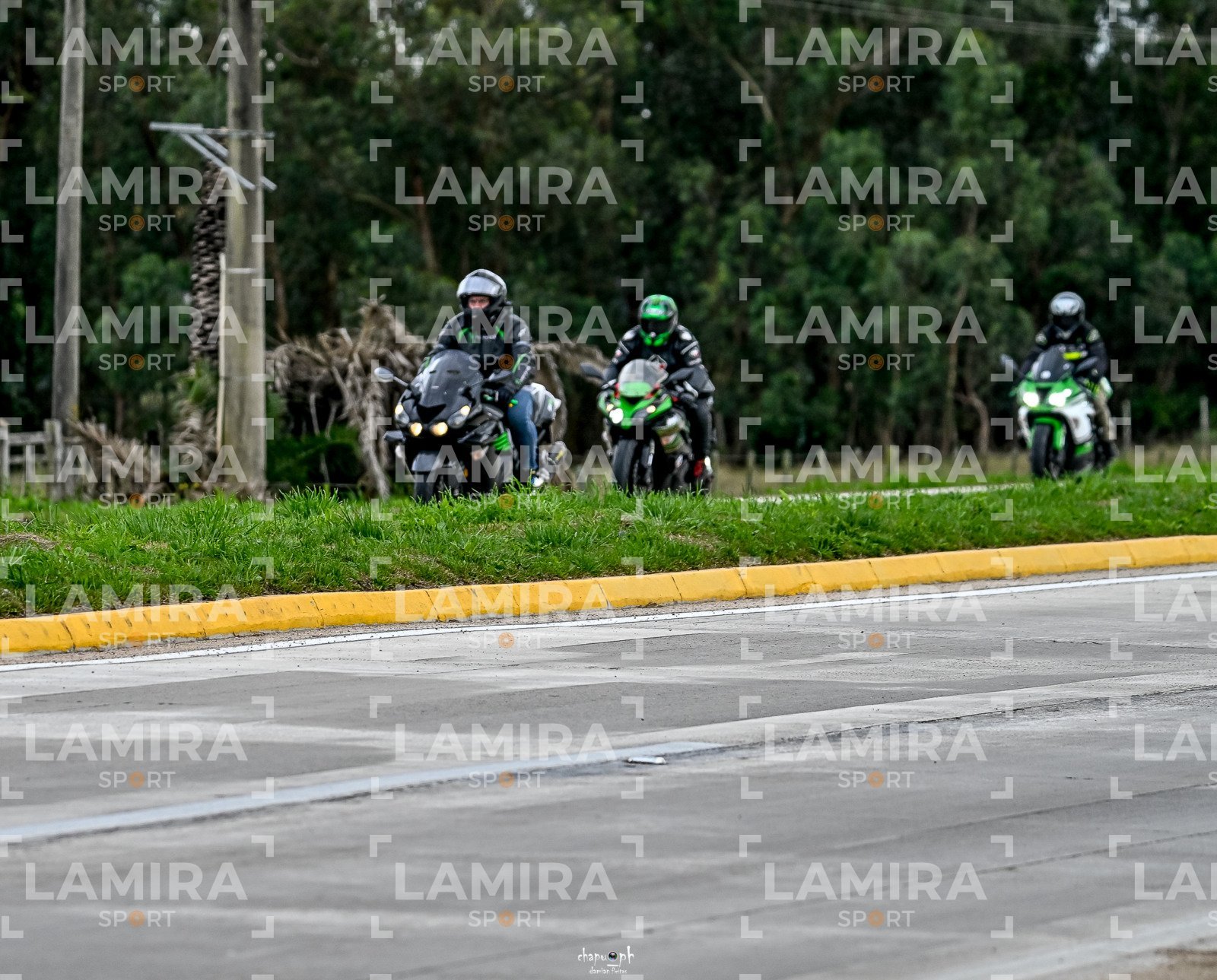 abejas ruteras - CHA9959.jpg