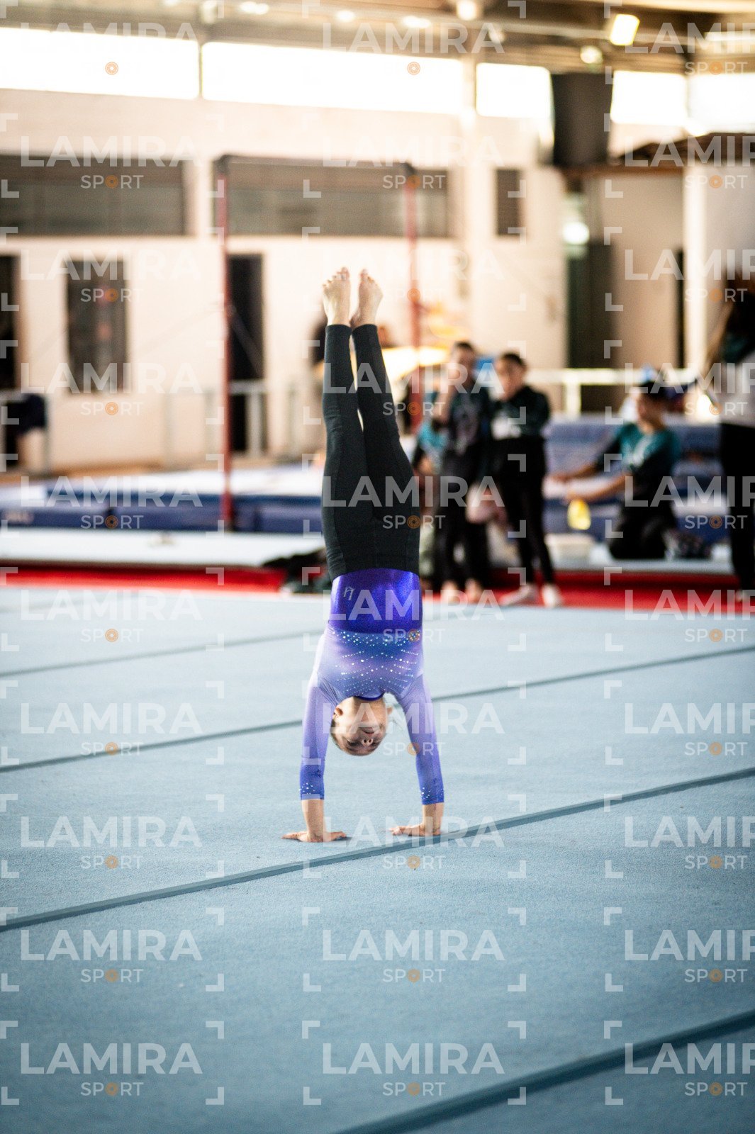 Gimnasia FUG - FUG-13-2.jpg