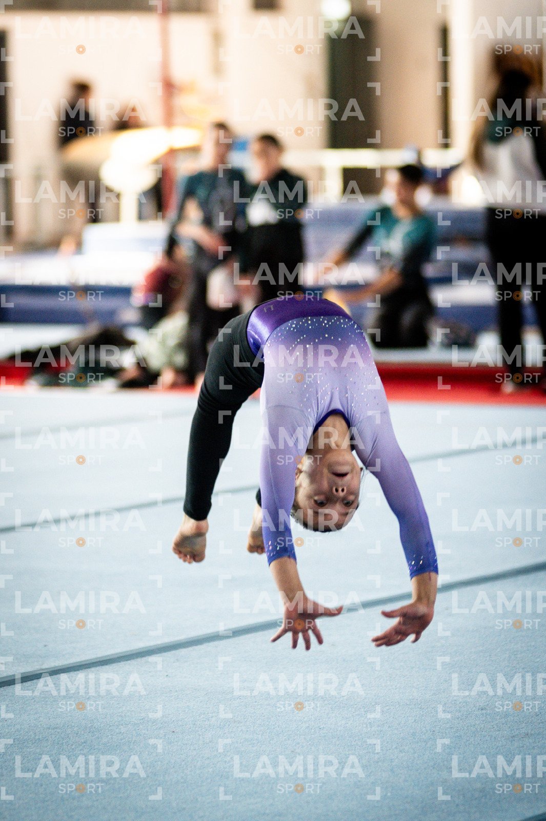 Gimnasia FUG - FUG-14-2.jpg