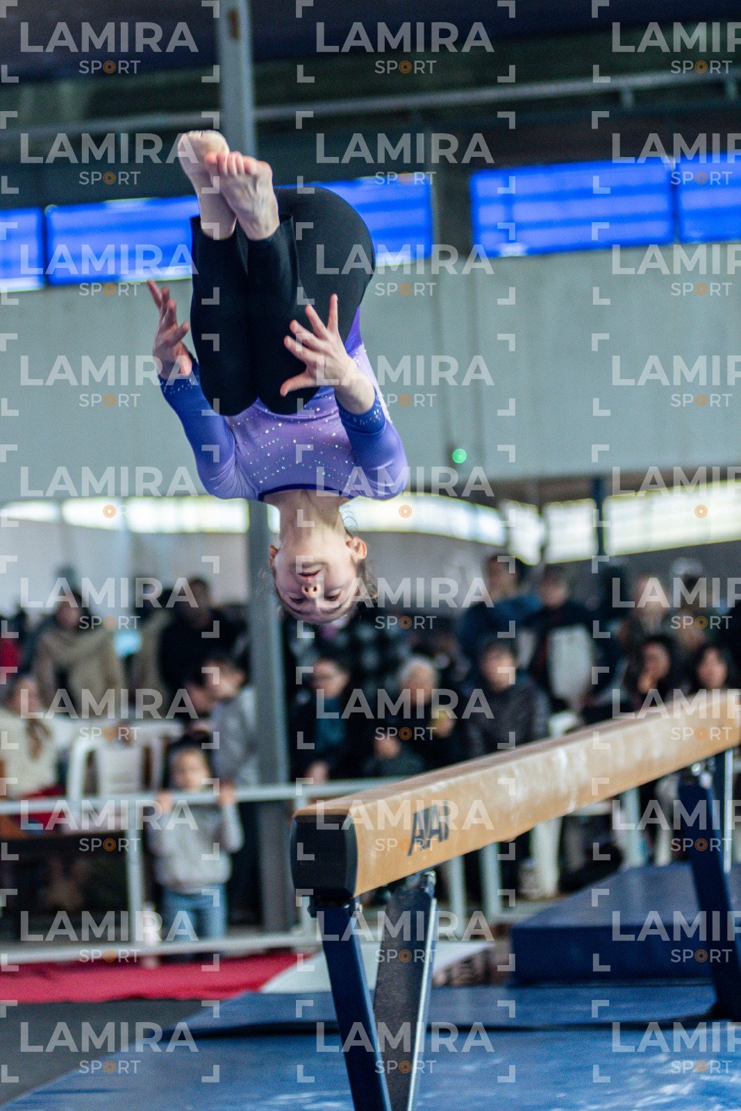 Gimnasia FUG - FUG-38.jpg