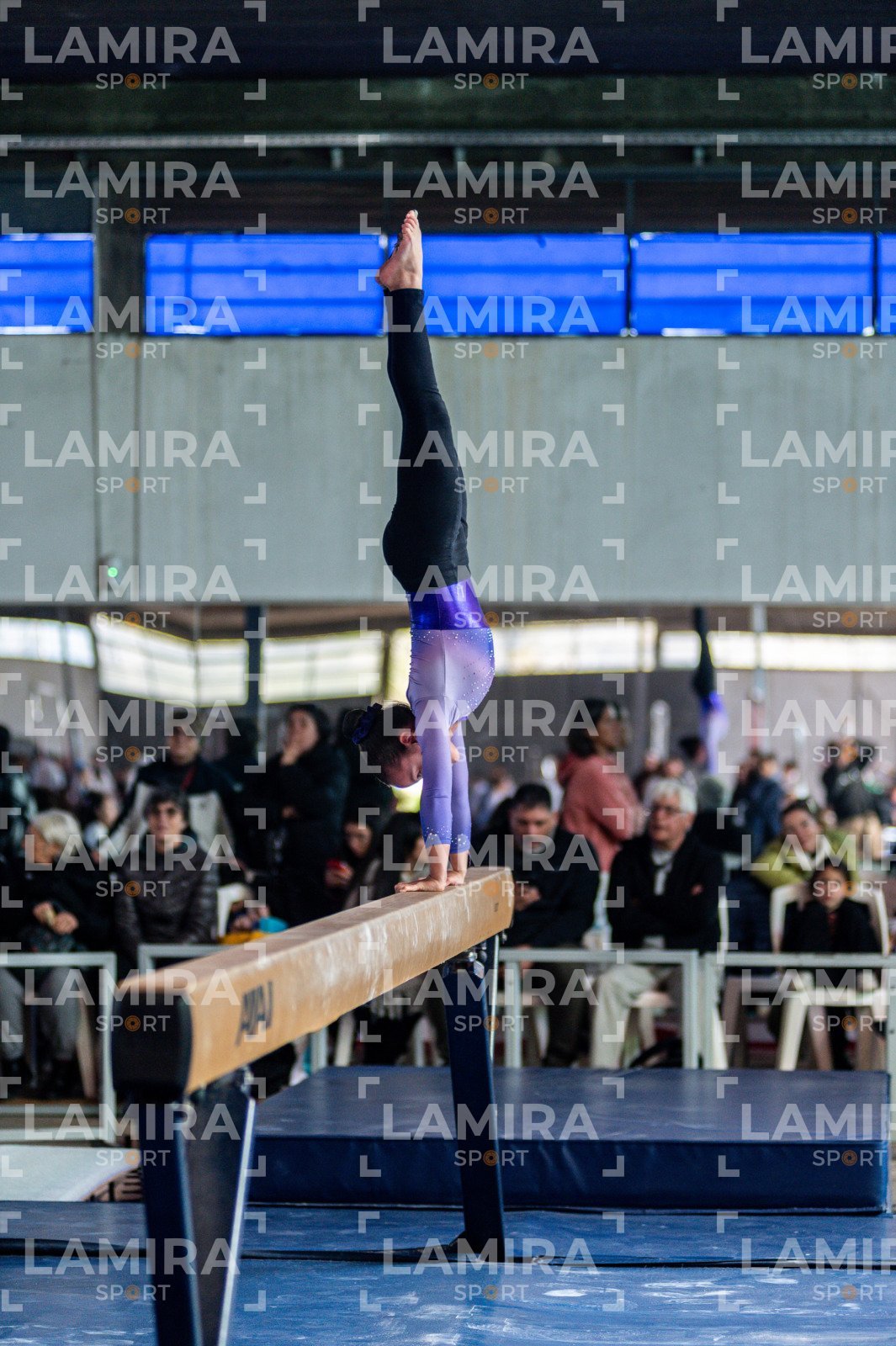Gimnasia FUG - FUG-49.jpg