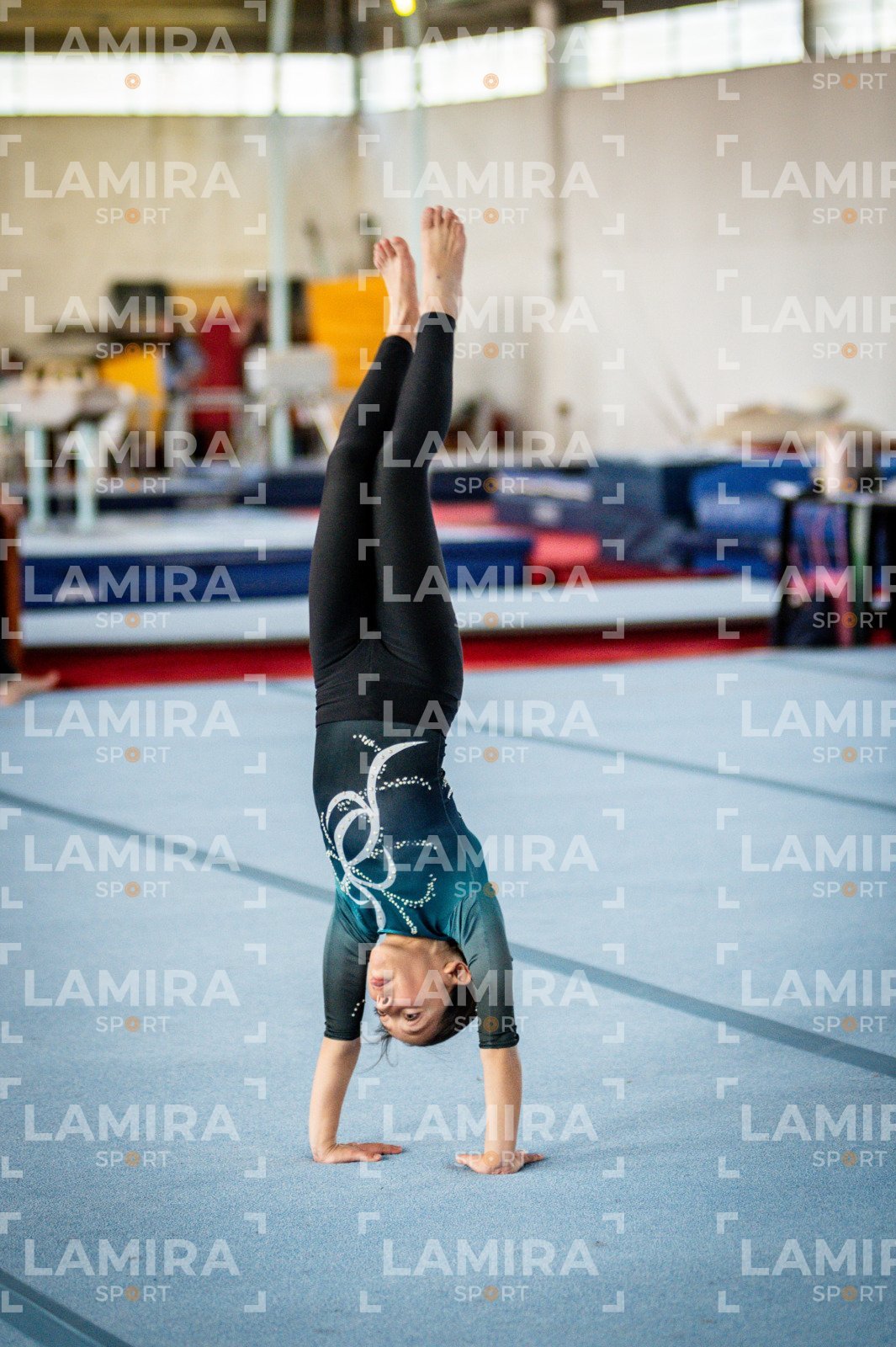 Gimnasia FUG - FUG-8-4.jpg