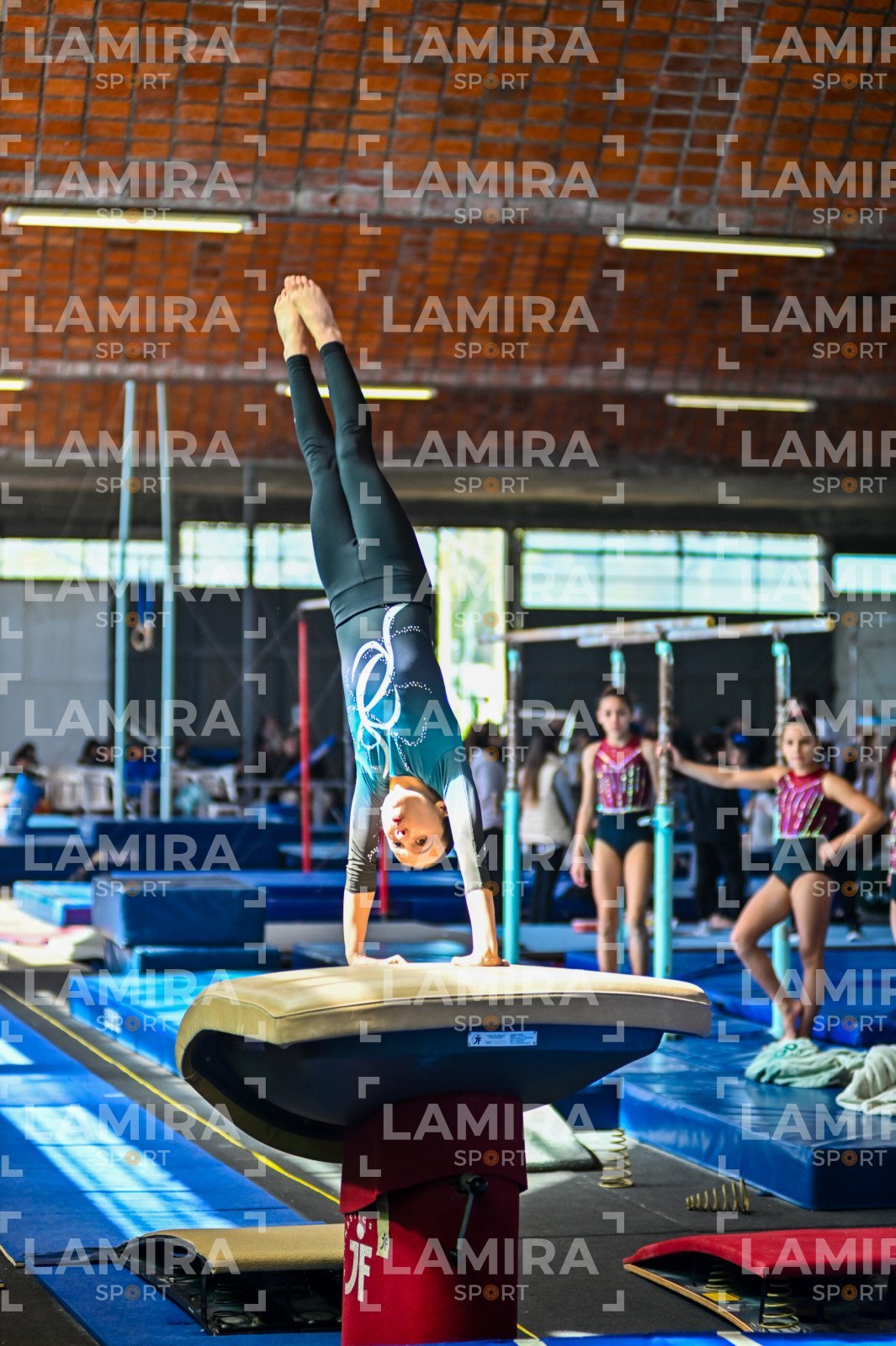 Gimnasia FUG - FUG-81.jpg