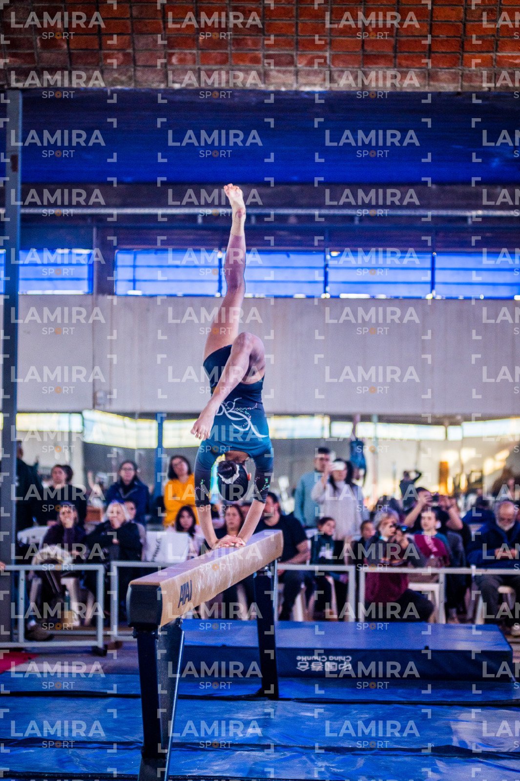 Gimnasia FUG - FUG-111-2.jpg