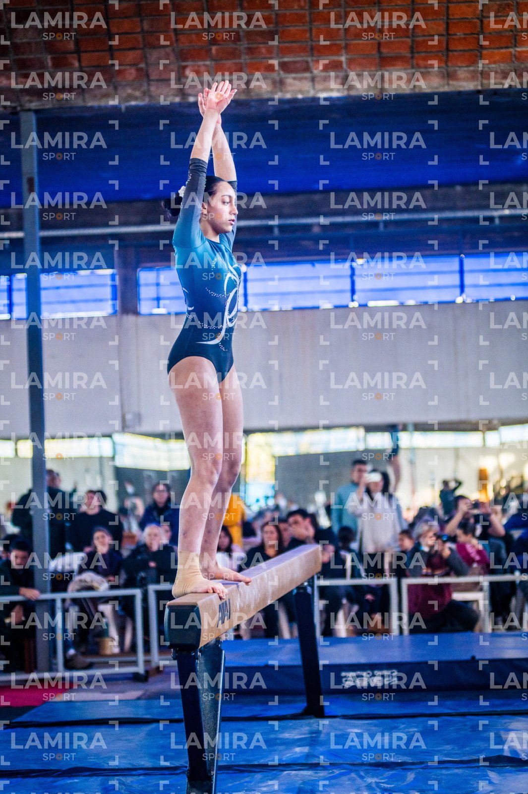 Gimnasia FUG - FUG-116-2.jpg