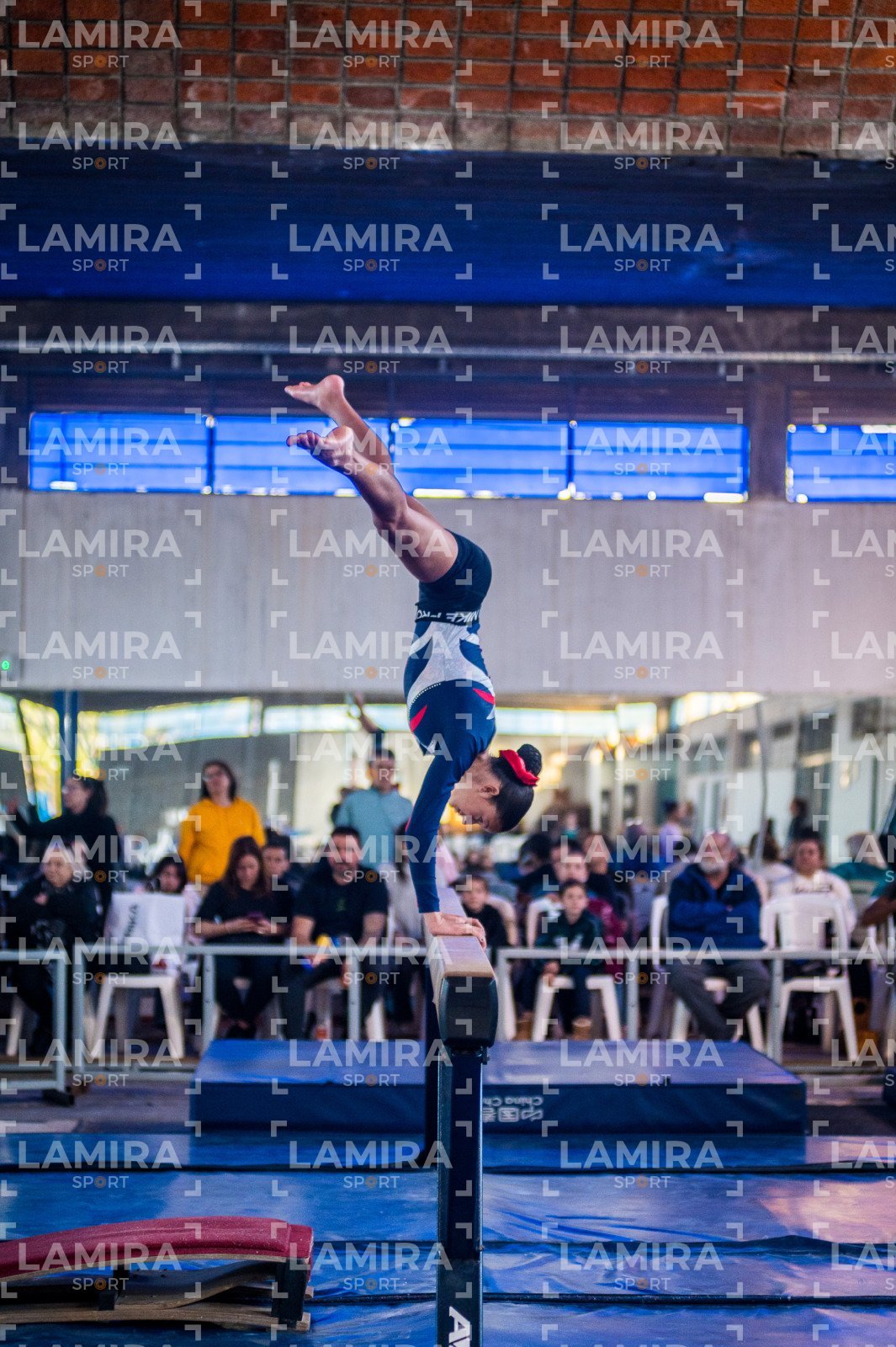 Gimnasia FUG - FUG-130-2.jpg