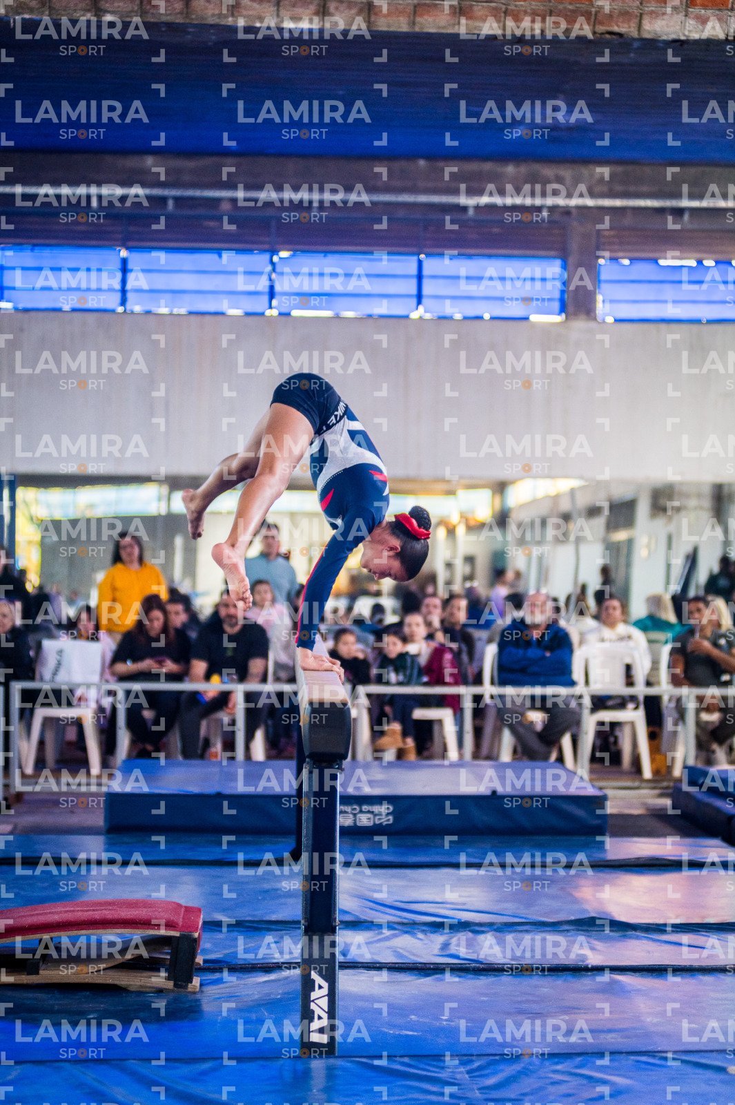 Gimnasia FUG - FUG-134-2.jpg