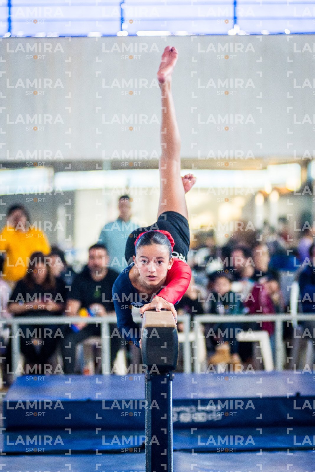 Gimnasia FUG - FUG-139-2.jpg