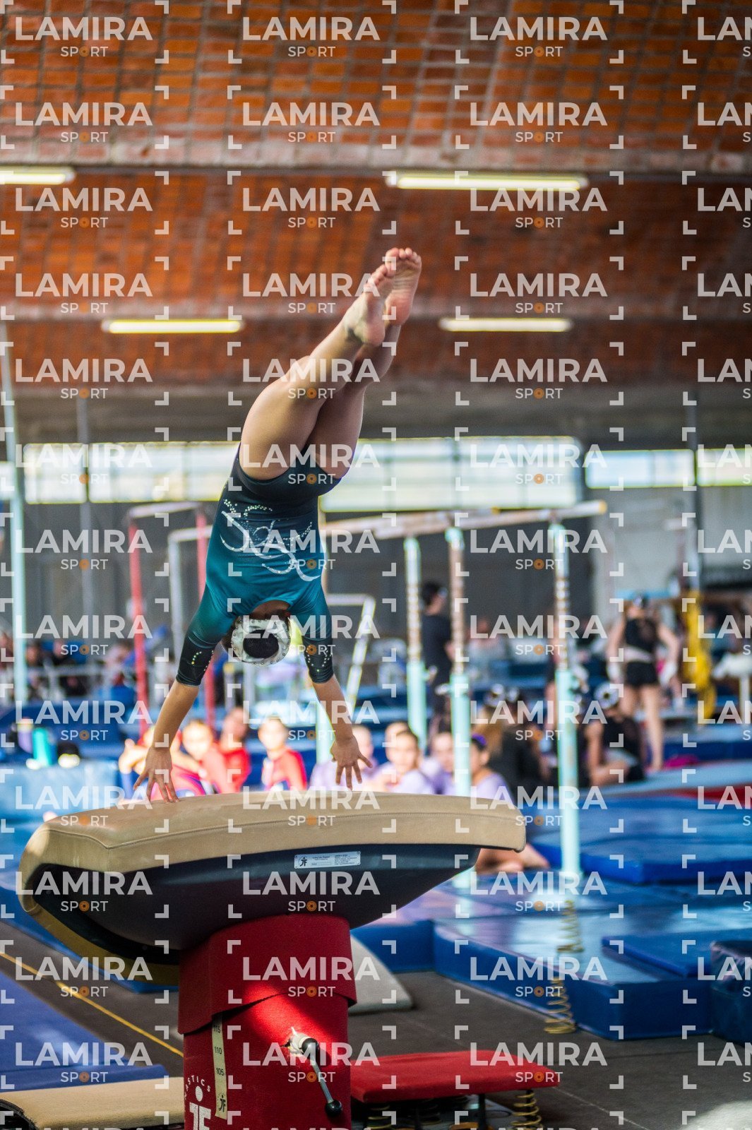 Gimnasia FUG - FUG-14-4.jpg