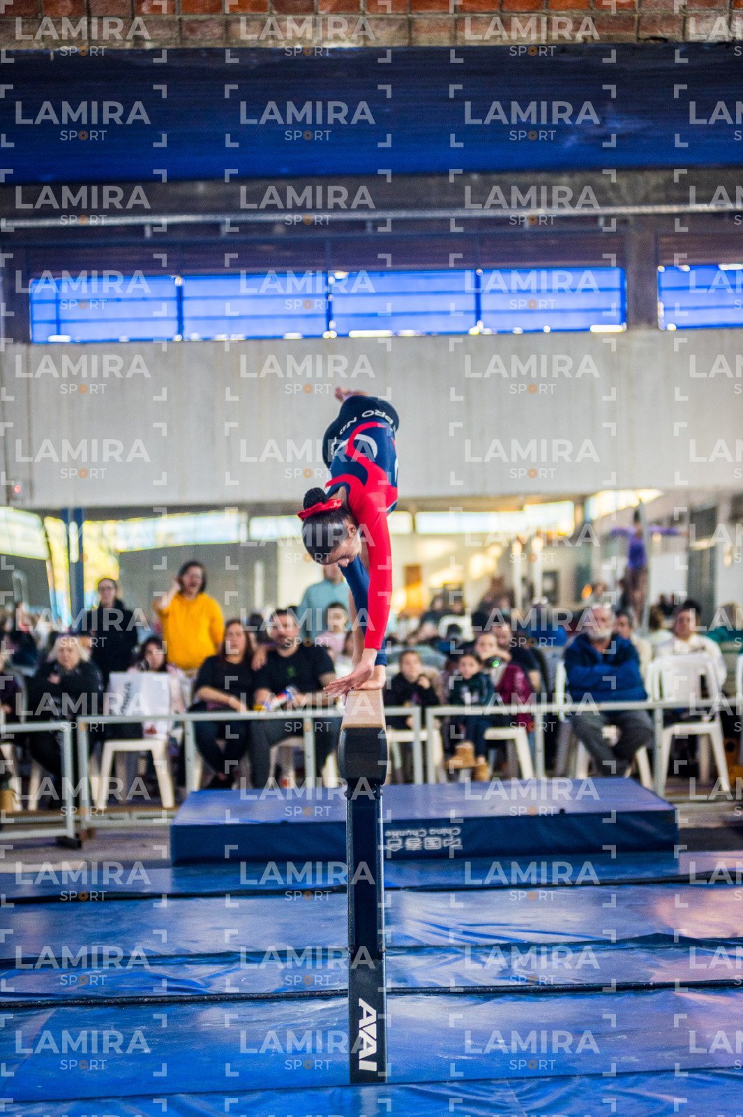 Gimnasia FUG - FUG-143-2.jpg
