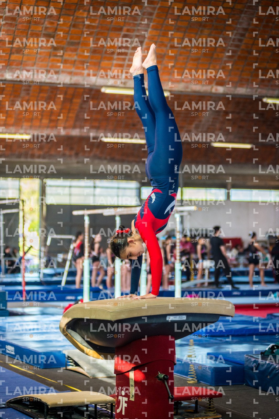 Gimnasia FUG - FUG-173.jpg