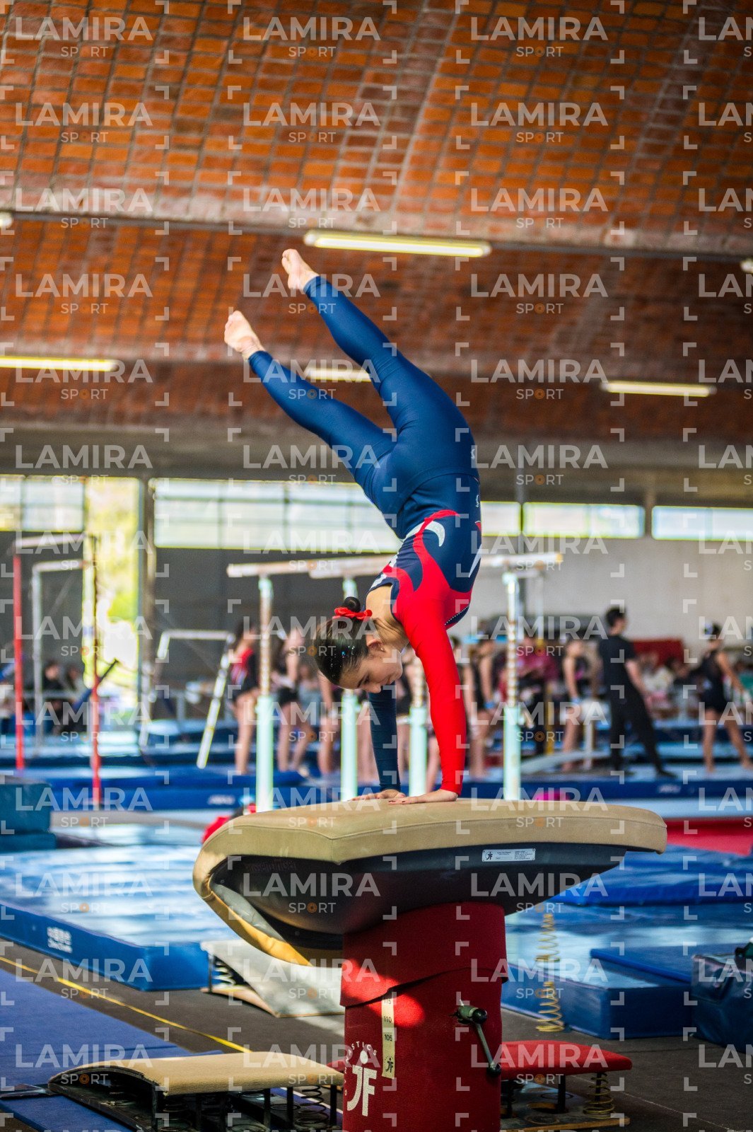Gimnasia FUG - FUG-174.jpg