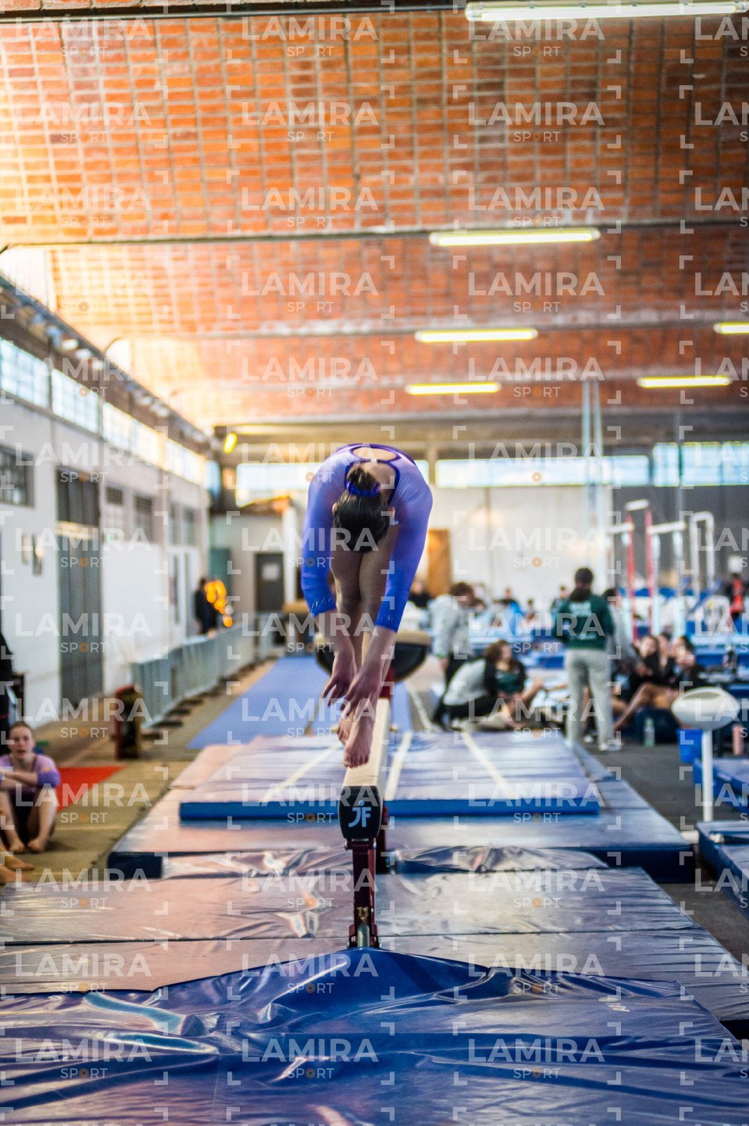Gimnasia FUG - FUG-178-2.jpg
