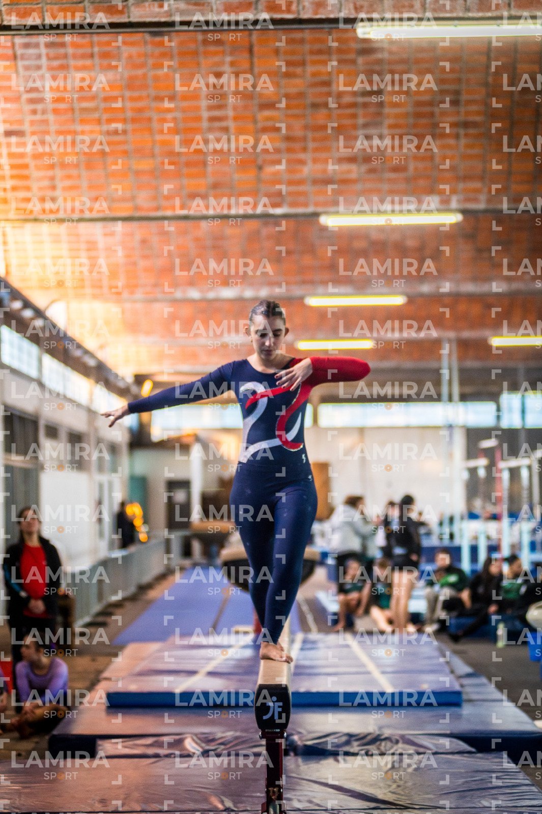 Gimnasia FUG - FUG-202-2.jpg