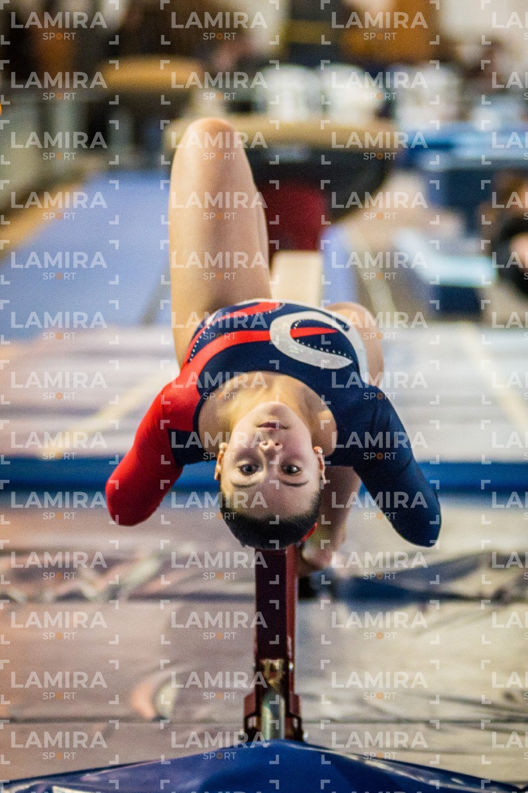 Gimnasia FUG - FUG-208-2.jpg