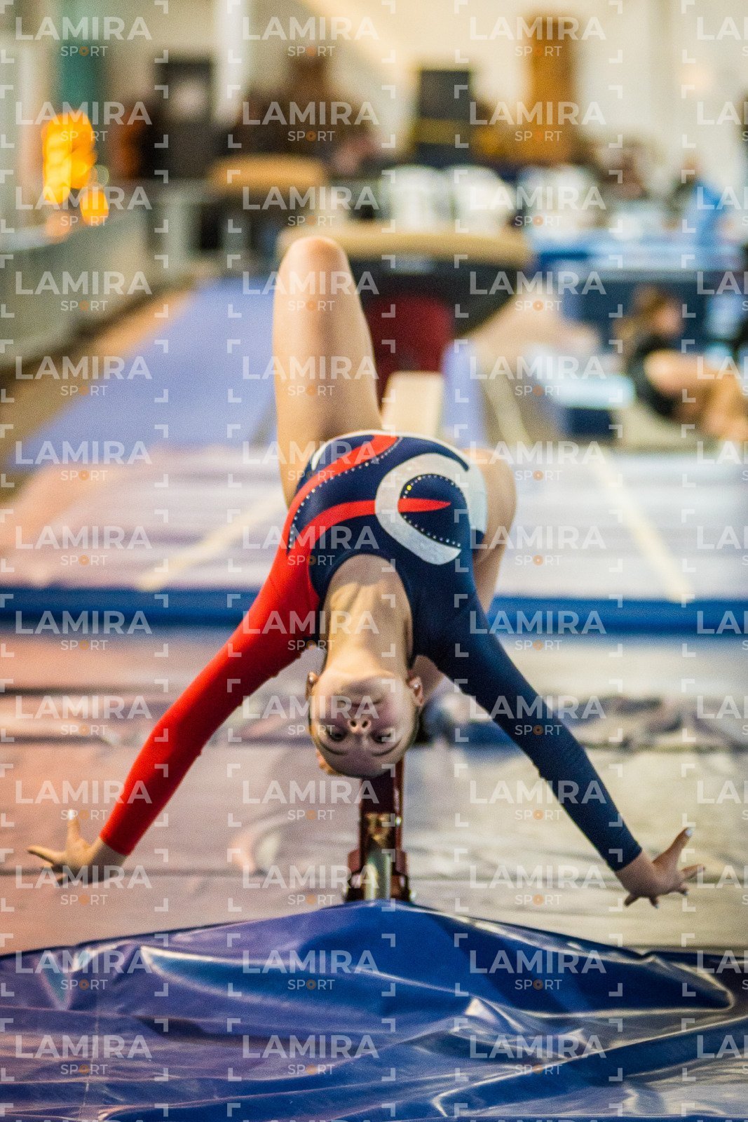 Gimnasia FUG - FUG-209-2.jpg