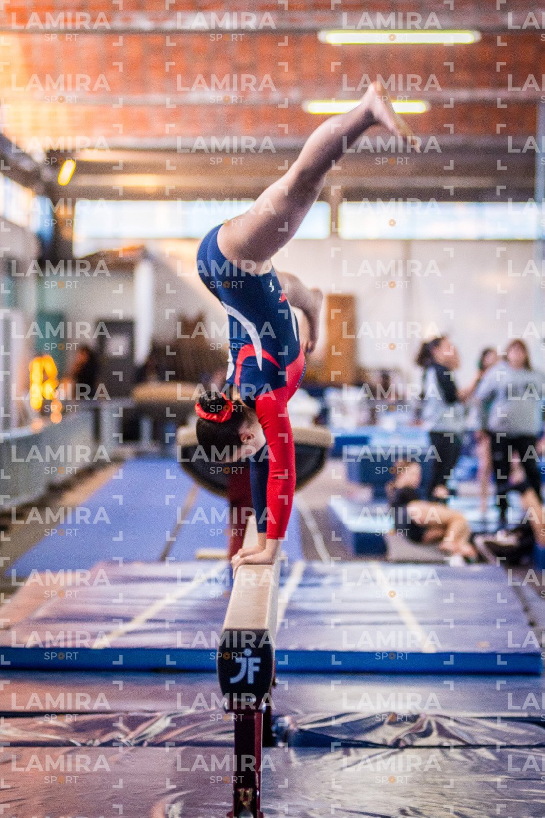 Gimnasia FUG - FUG-210-2.jpg