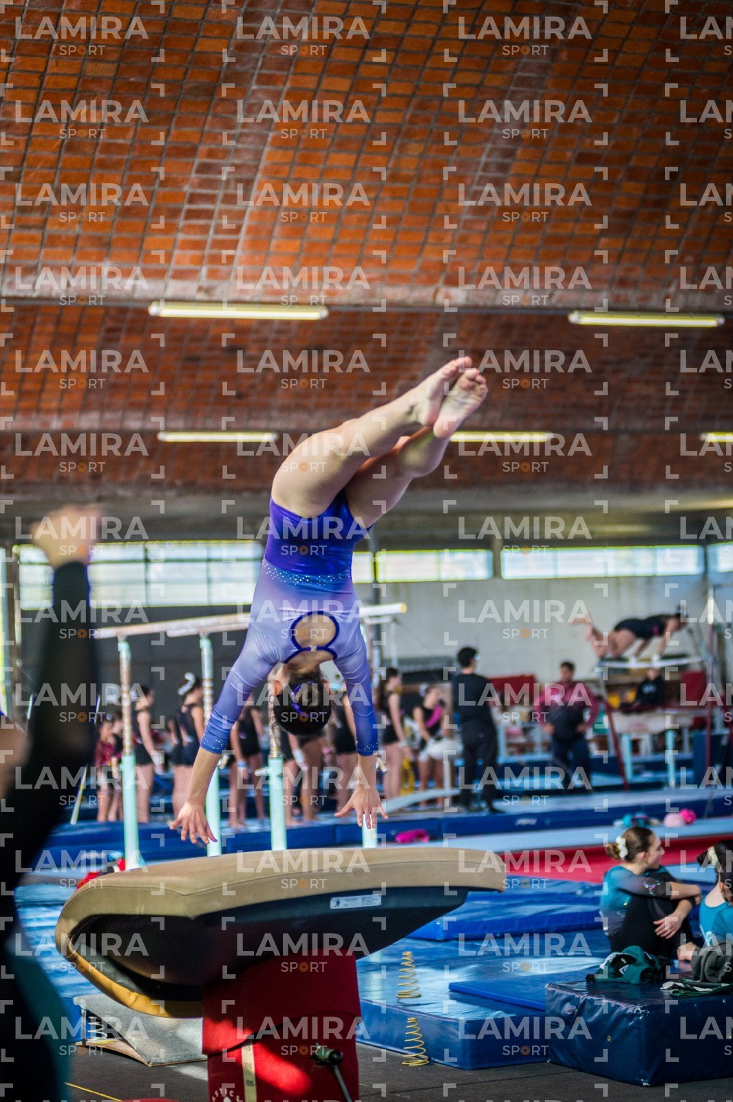 Gimnasia FUG - FUG-215.jpg