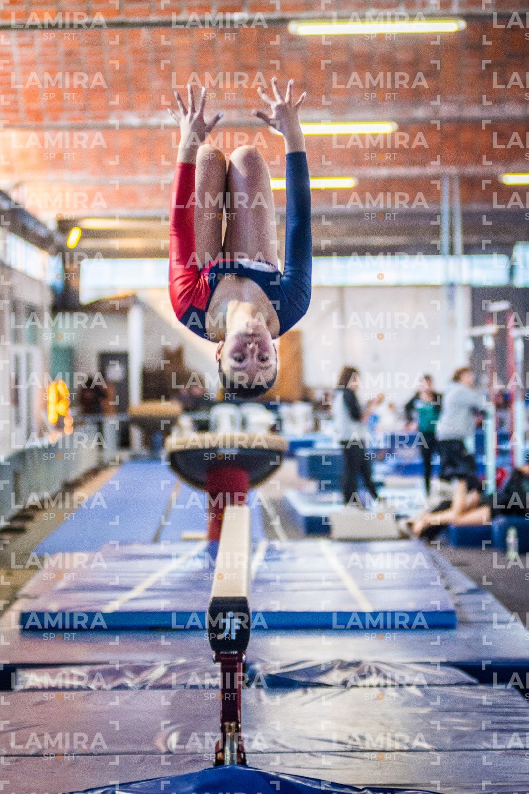 Gimnasia FUG - FUG-216-2.jpg