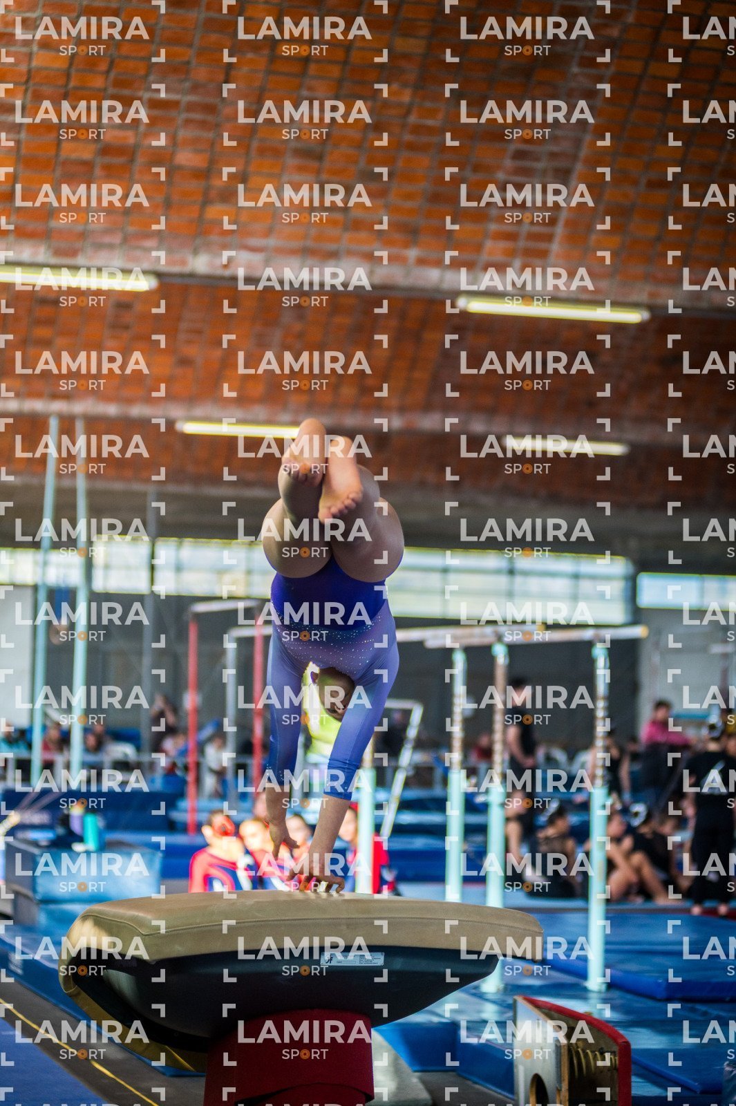 Gimnasia FUG - FUG-37-3.jpg
