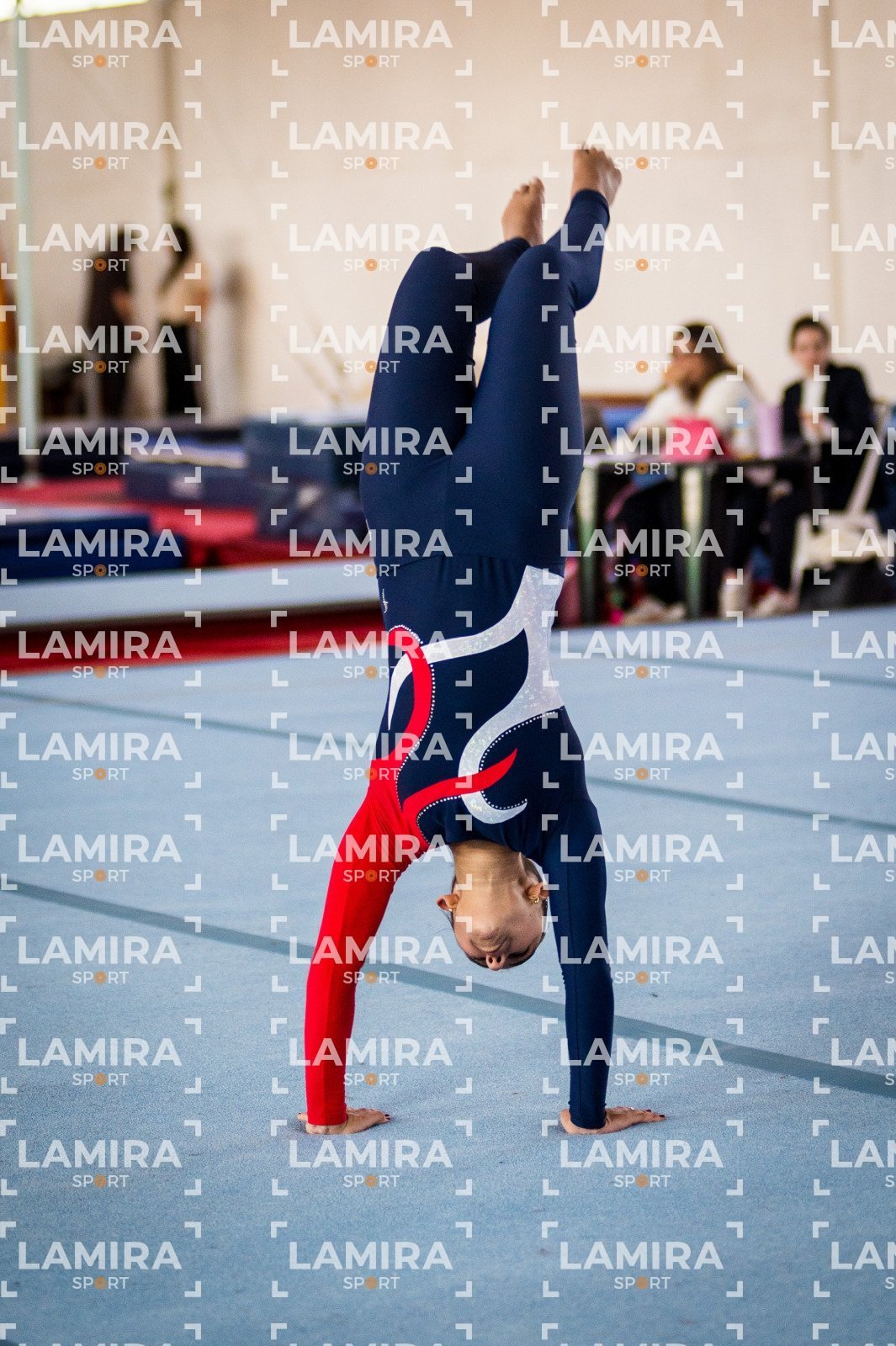 Gimnasia FUG - FUG-38-2.jpg