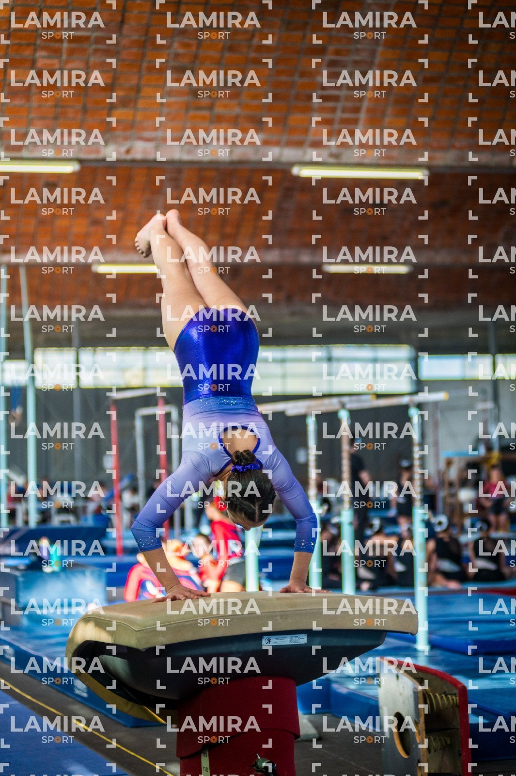 Gimnasia FUG - FUG-44-2.jpg