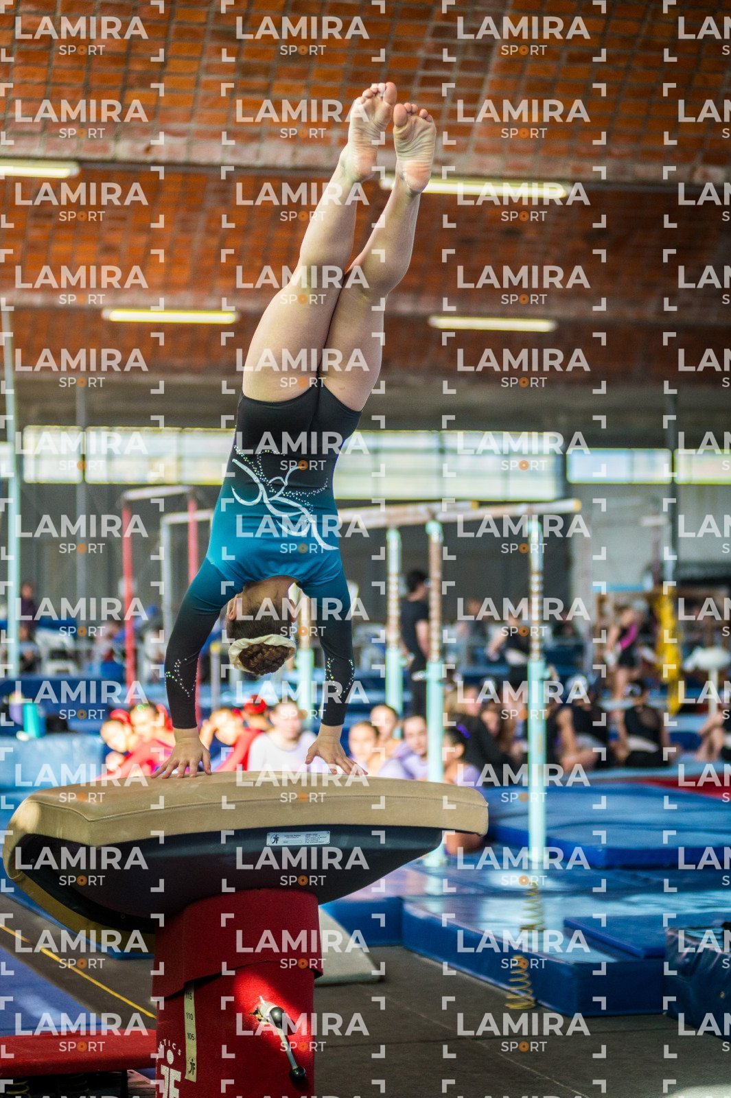 Gimnasia FUG - FUG-6-4.jpg
