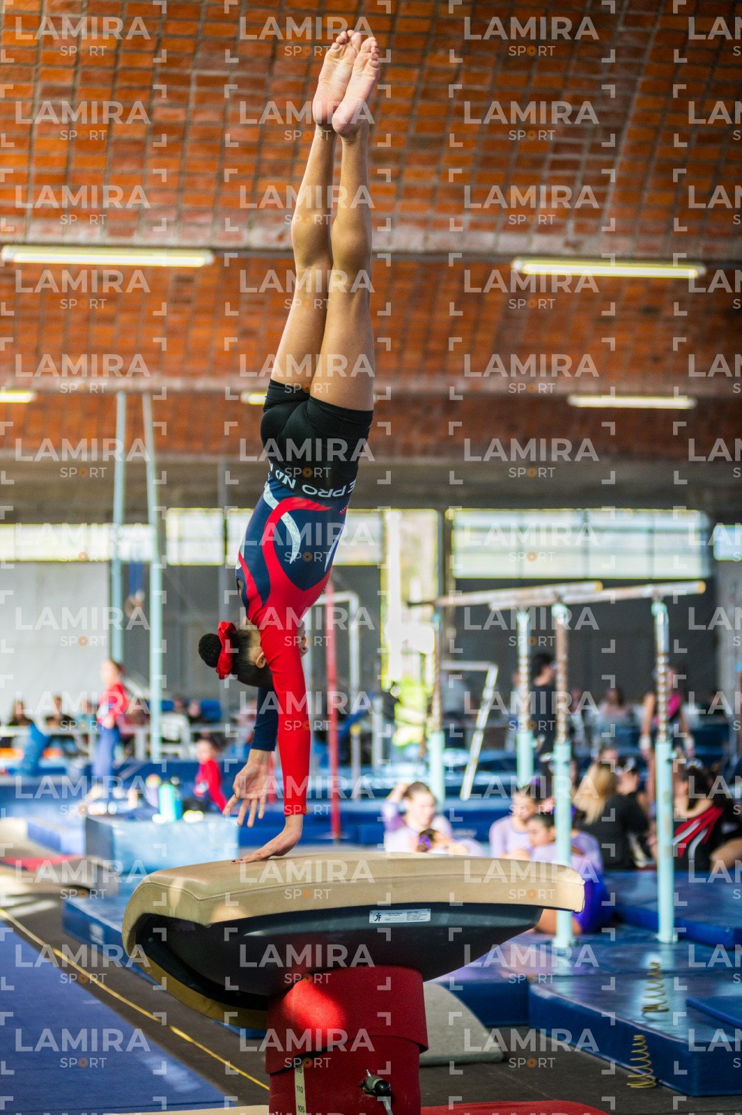Gimnasia FUG - FUG-62-2.jpg