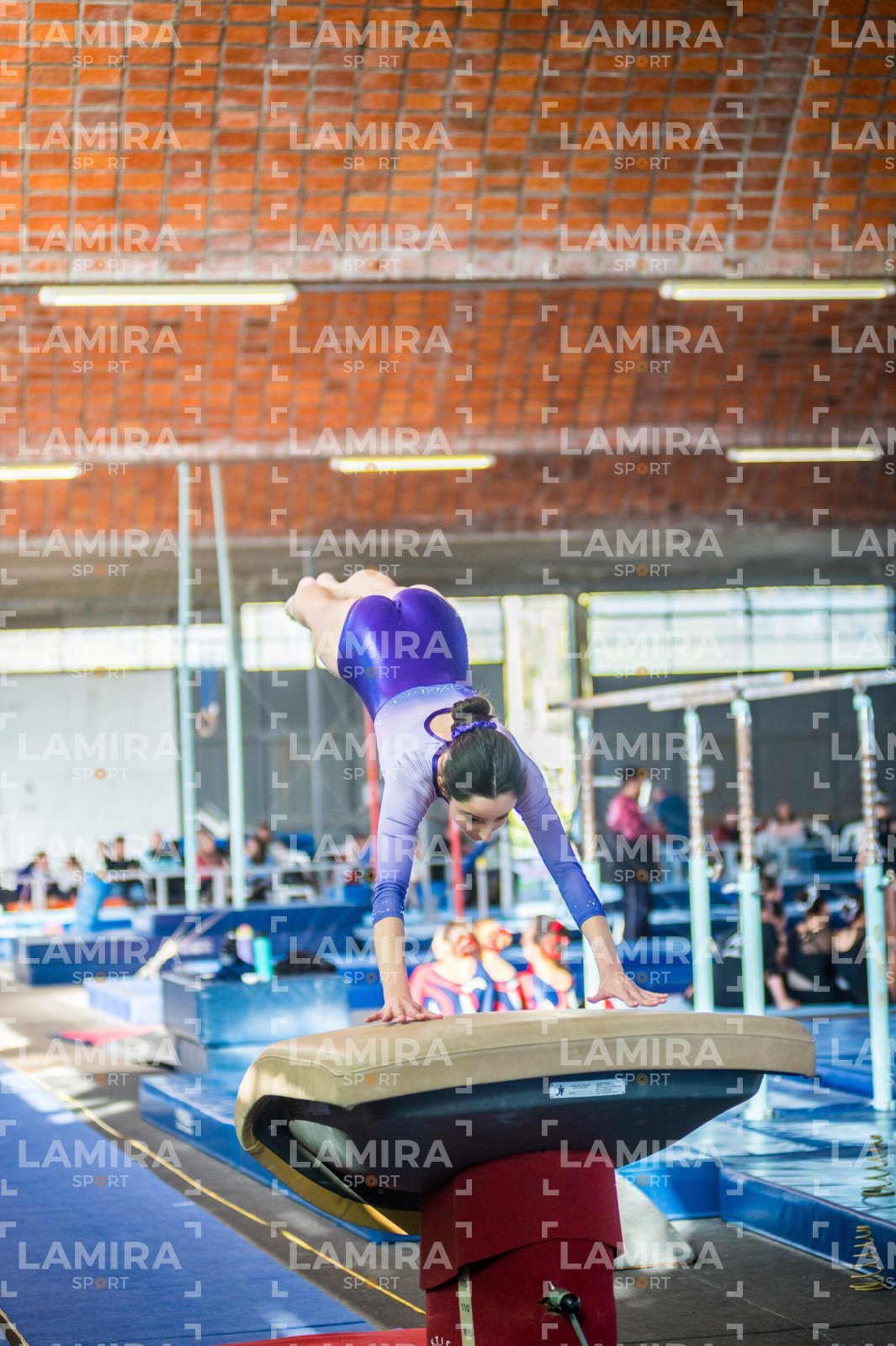 Gimnasia FUG - FUG-62.jpg