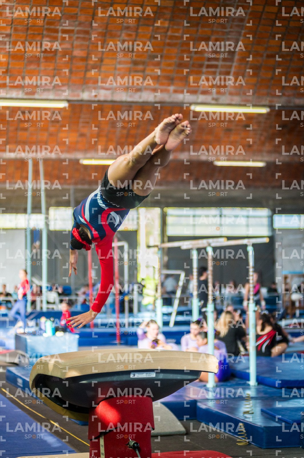 Gimnasia FUG - FUG-63-2.jpg