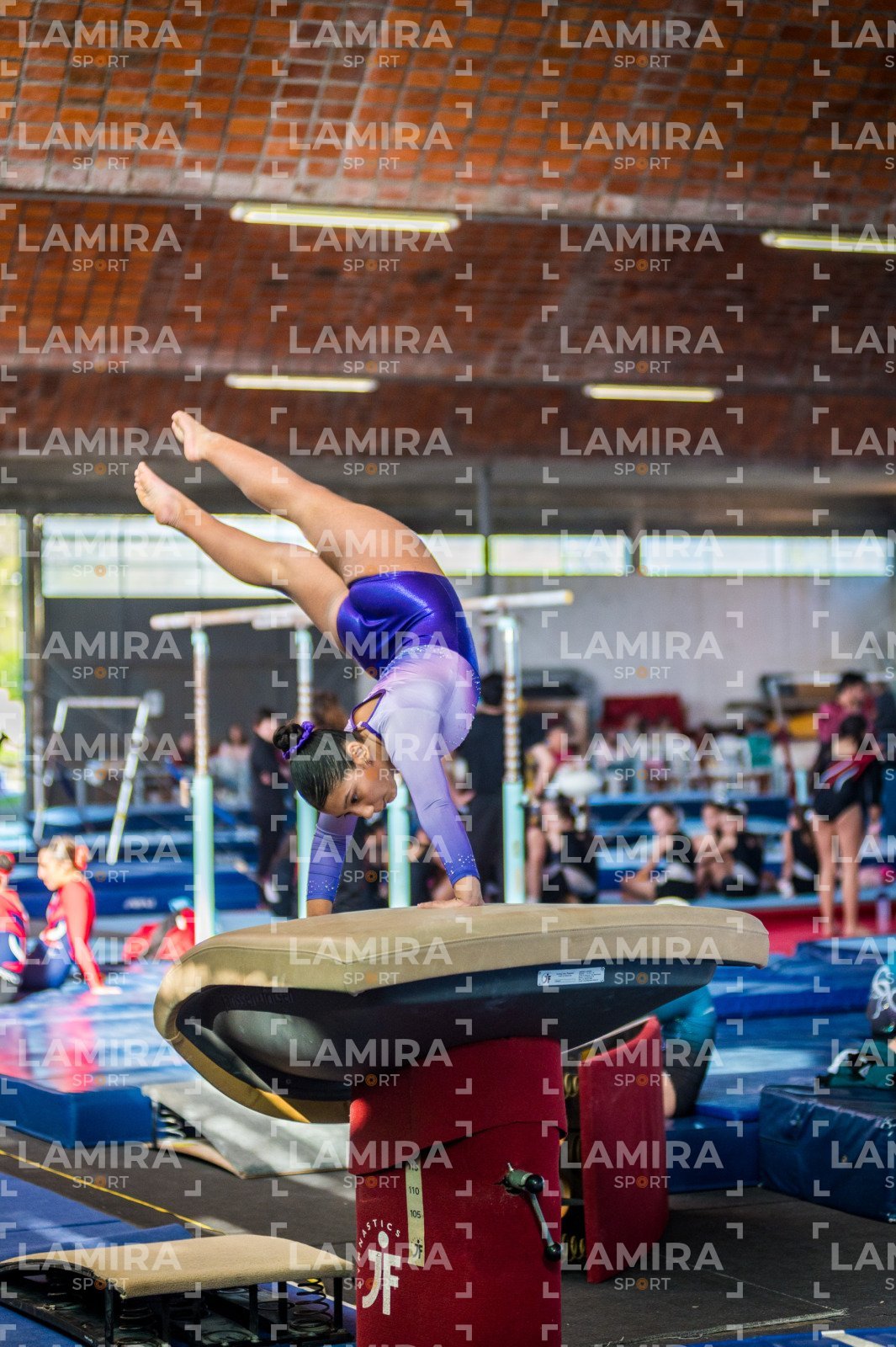 Gimnasia FUG - FUG-81.jpg