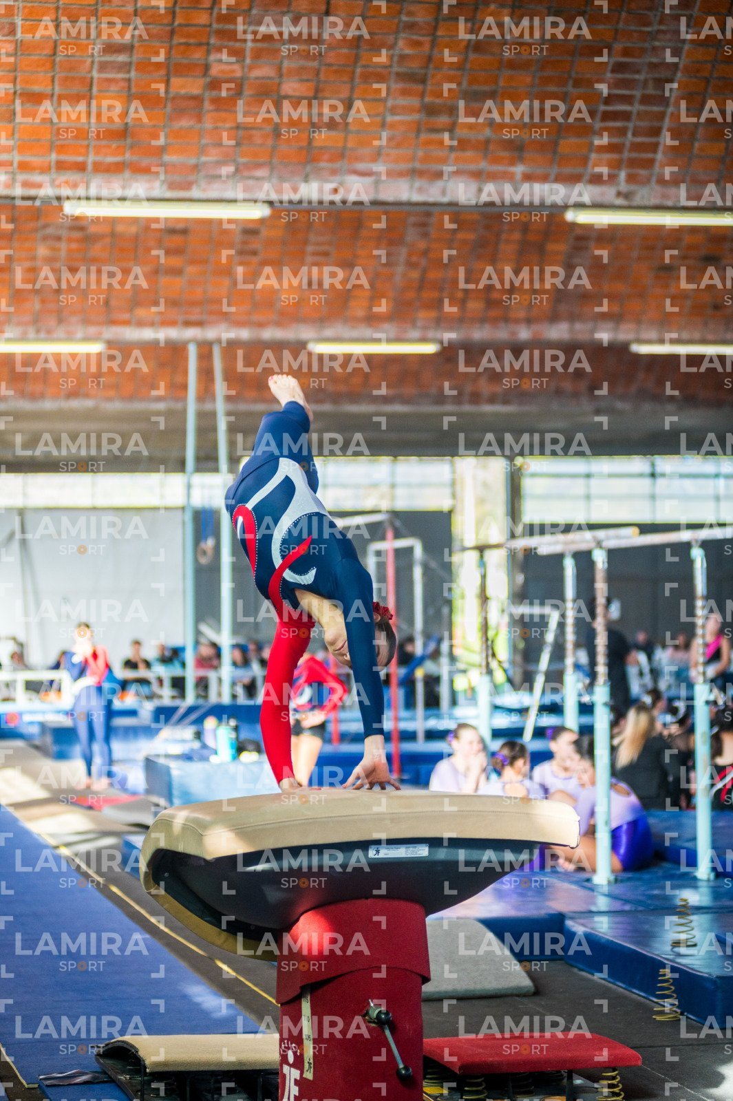 Gimnasia FUG - FUG-84-2.jpg