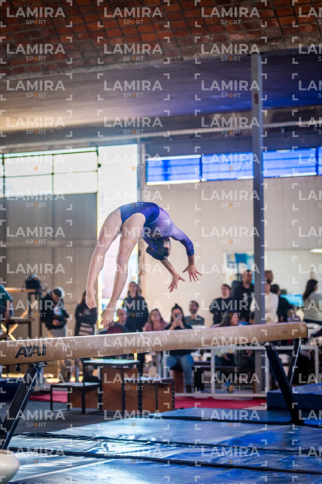 Gimnasia FUG - FUG-94-2.jpg
